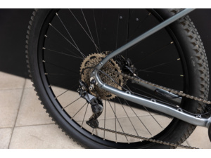 PELLS Thorr First ER Grey - L