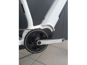 PELLS Thorr Base W White - M