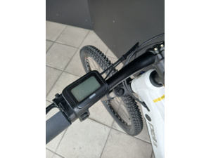 PELLS Thorr Base W White - M