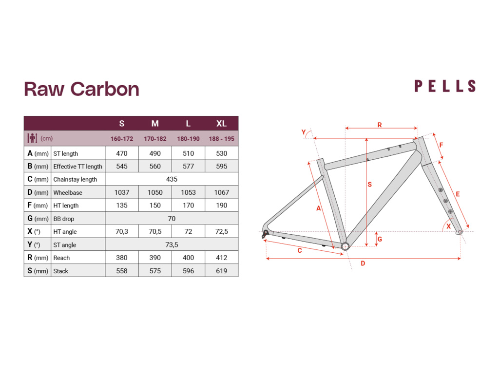 PELLS Raw Carbon 1 Future Dusk