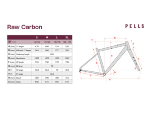 PELLS Raw Carbon 1 Future Dusk