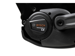 Thorr Bosch Lowstep Night black/grey