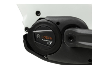 Thorr Bosch Lowstep EQ Cream/red