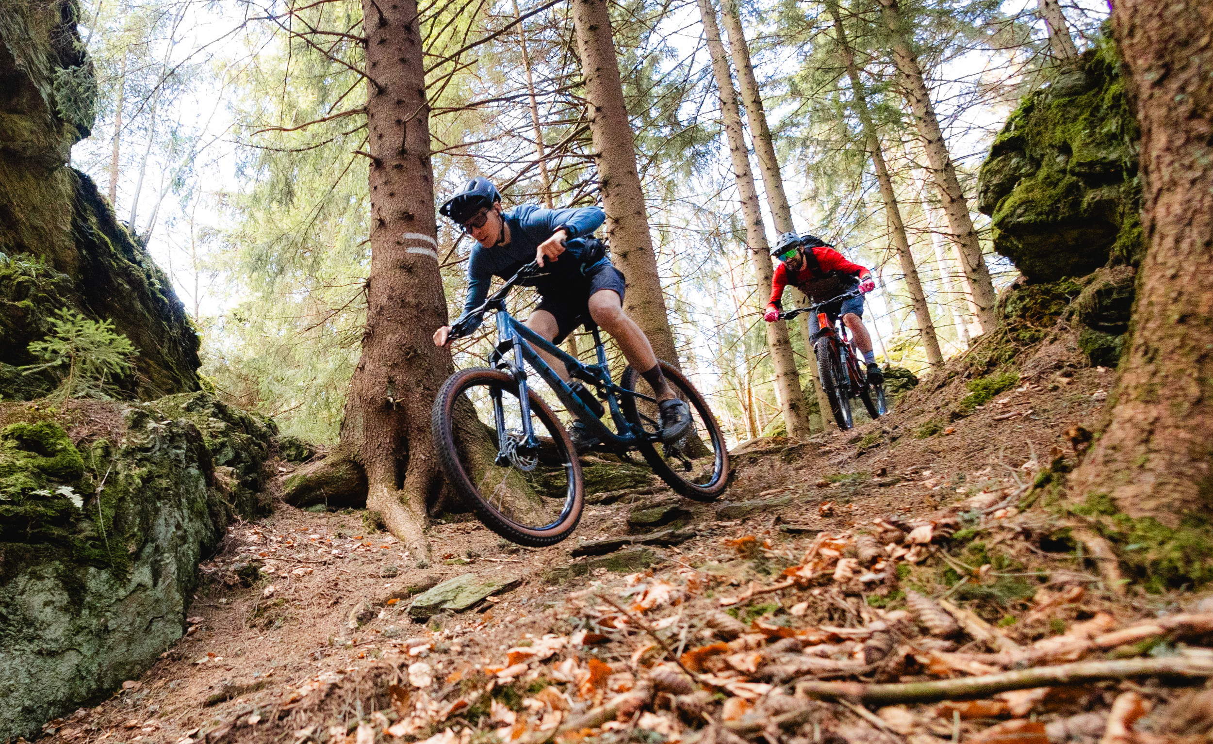 Mountain Bikes
