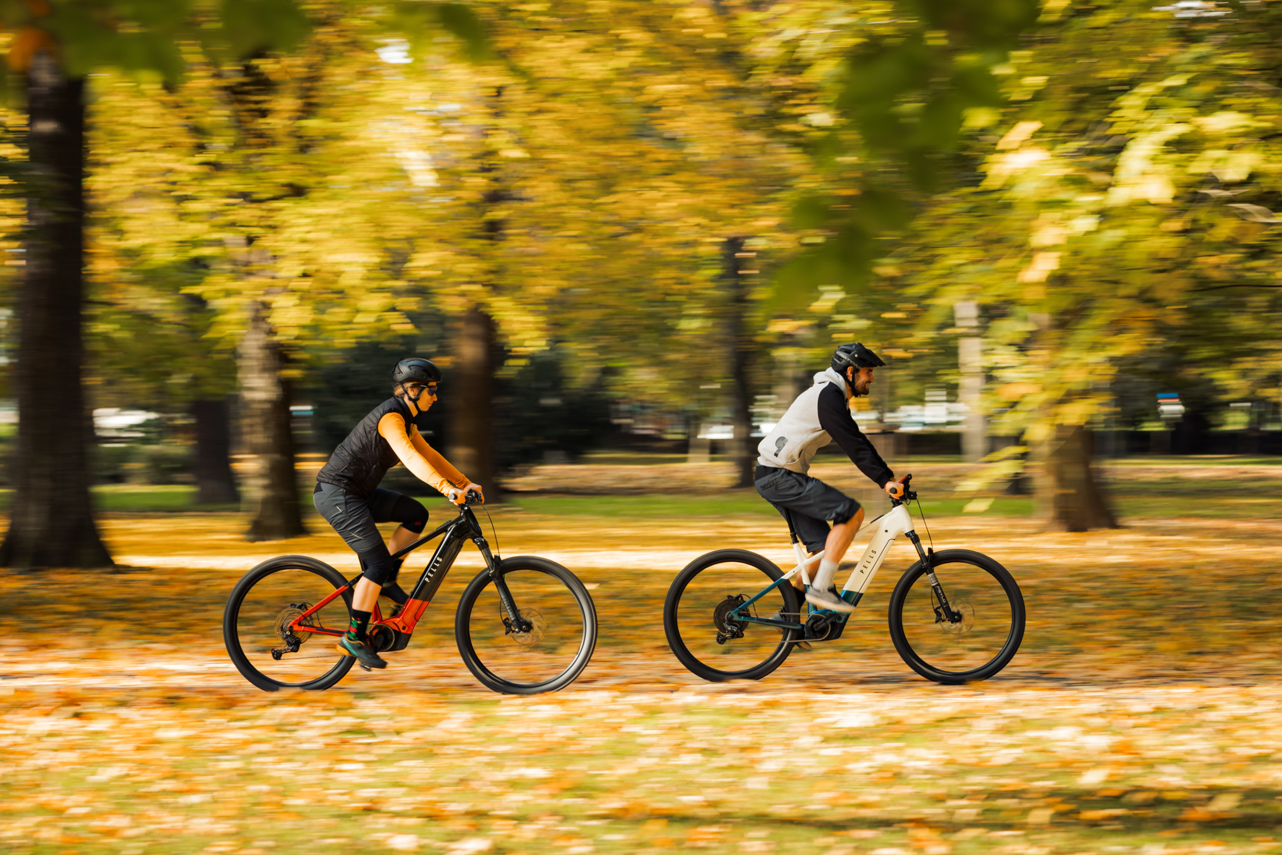 Mountain e-bikes